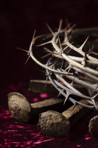 Lent - Crown of Thorns