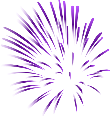 Fireworks Image